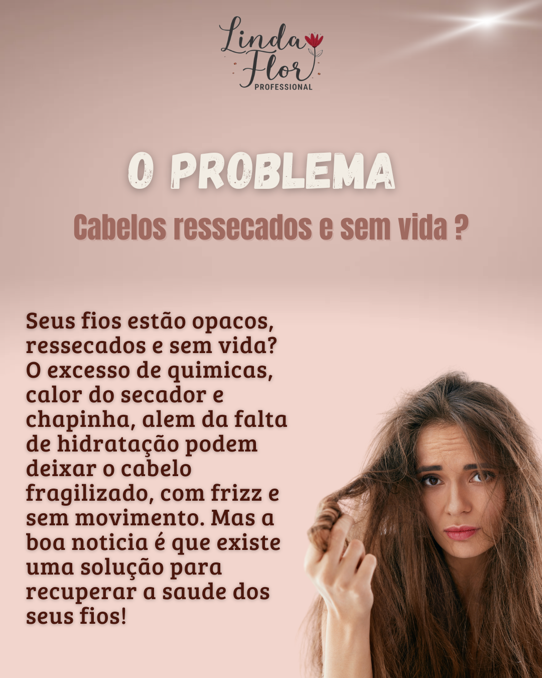 Carrossel móbile 2